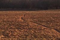 Land in Knox County, Texas