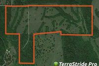 Undeveloped Land in Newton County, Missouri