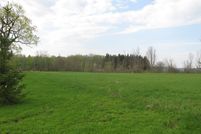 Undeveloped Land in Schoharie County, New York