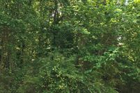 Undeveloped Land in Clayton County, Georgia