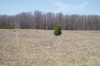 Undeveloped Land in Manistee County, Michigan