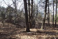 Timberland Property in Richland County, Wisconsin