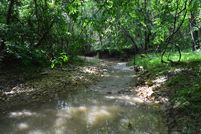 Farm and Ranch in Stokes County, North Carolina