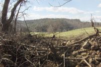 Undeveloped Land in Pulaski County, Virginia