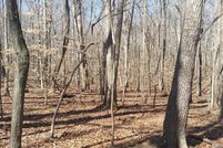 Undeveloped Land in Charlotte County, Virginia