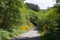 Recreational Property in Clatsop County, Oregon
