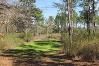 Timberland Property in Terrell County, Georgia
