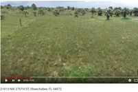 Farm and Ranch in Okeechobee County, Florida