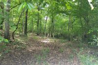 Recreational Property in Henry County, Georgia