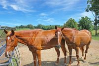 Farm and Ranch in Simpson County, Kentucky