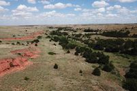 Timberland Property in Harper County, Oklahoma