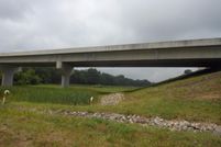 Undeveloped Land in Montgomery County, Kentucky