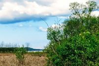 Undeveloped Land in Manistee County, Michigan