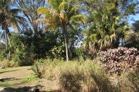 Undeveloped Land in Lee County, Florida