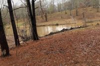 Undeveloped Land in Sabine Parish, Louisiana