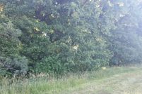 Undeveloped Land in Coles County, Illinois