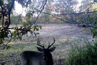 Land in Cumberland County, Illinois