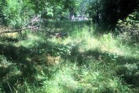 Undeveloped Land in McHenry County, Illinois