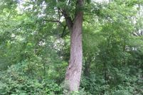 Undeveloped Land in McHenry County, Illinois