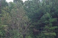 Land in Lincoln County, North Carolina