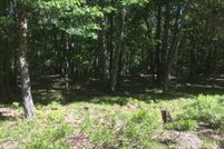 Undeveloped Land in Luzerne County, Pennsylvania