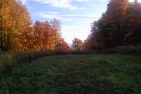 Undeveloped Land in Washington County, New York