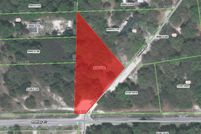 Undeveloped Land in Alachua County, Florida