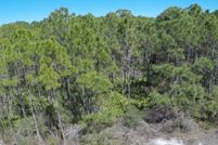 Undeveloped Land in Franklin County, Florida