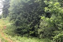 Recreational Property in Taylor County, Wisconsin