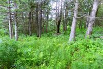 Undeveloped Land in Essex County, Vermont