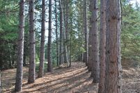 Undeveloped Land in Beltrami County, Minnesota