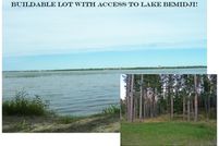 Undeveloped Land in Beltrami County, Minnesota