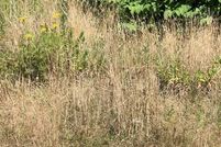 Land in Bristol County, Massachusetts