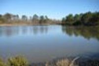 Undeveloped Land in Turner County, Georgia