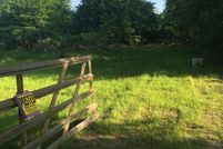 Undeveloped Land in Hopkins County, Texas