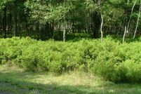 Undeveloped Land in Monroe County, Pennsylvania