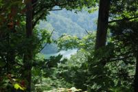 Undeveloped Land in Overton County, Tennessee