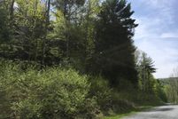 Undeveloped Land in Schoharie County, New York