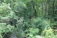 Undeveloped Land in Morris County, New Jersey