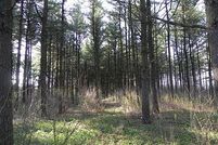 Land in Racine County, Wisconsin