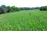 Waterfront Property in Van Buren County, Michigan