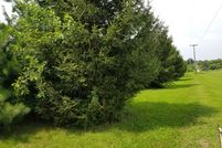 Undeveloped Land in Stephenson County, Illinois