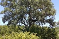 Land in Comal County, Texas