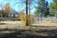 Undeveloped Land in Collin County, Texas