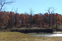 Undeveloped Land in Wood County, Texas