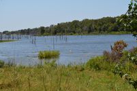 Undeveloped Land in Grayson County, Texas