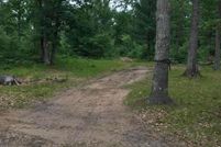 Undeveloped Land in Lake County, Michigan