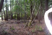 Undeveloped Land in Coos County, Oregon