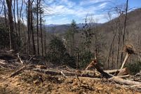 Land in Madison County, North Carolina