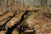 Undeveloped Land in Cumberland County, Tennessee